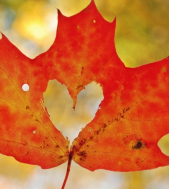 fall